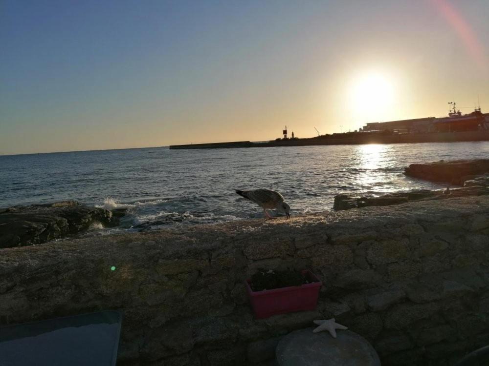 Hotel La Rose Des Sables Tréffiagat Esterno foto